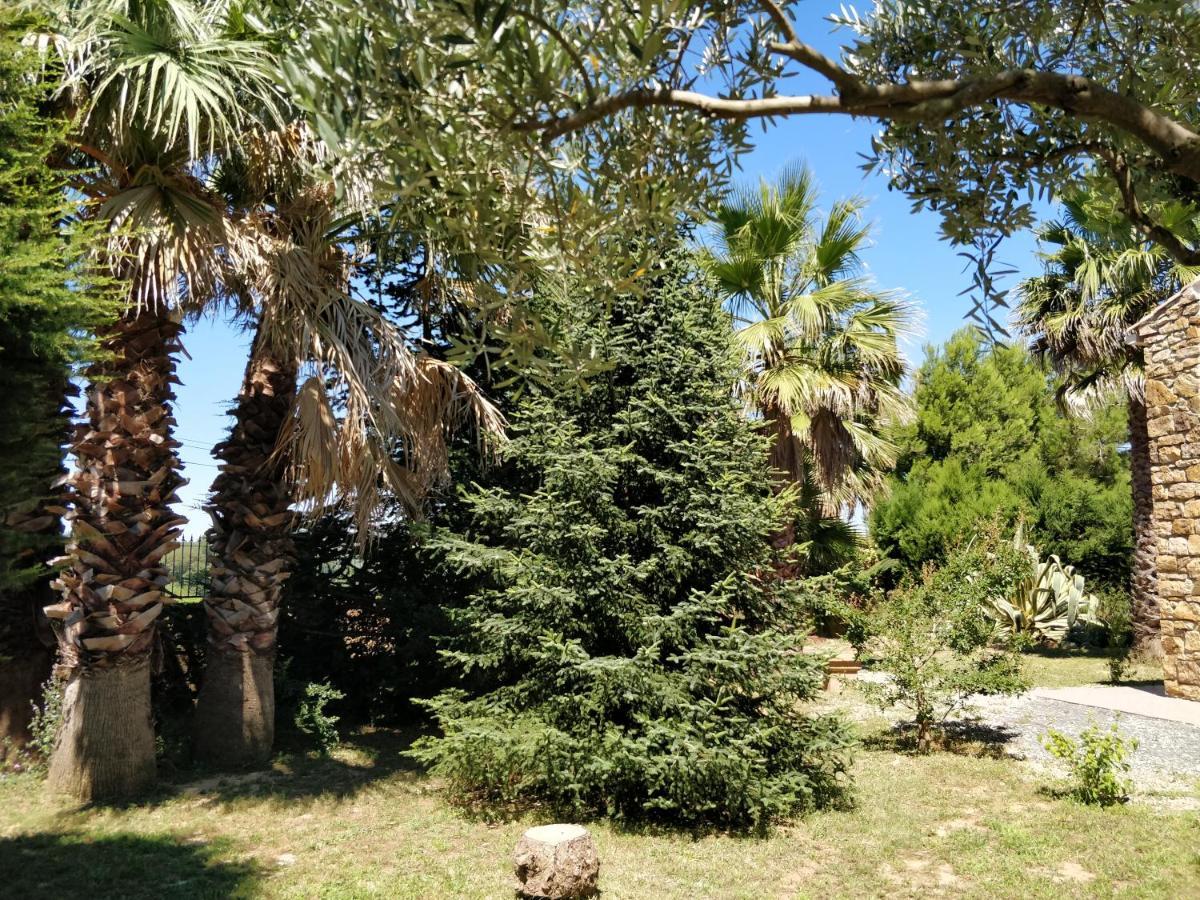 Saint-André-de-Roquelongue Chambre D'Hotes La Romaine מראה חיצוני תמונה
